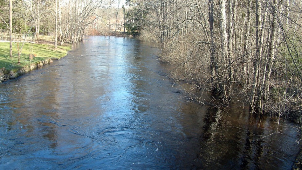 Vattendragen nedströms i Brusaån och Silverån bedöms ha stora marginaler även om flödena är högre än normalt för årstiden och markerna börjar bli mättade.