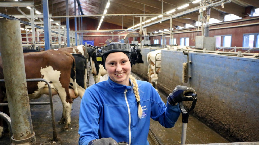 Alva Lidström är djurskötare på Grans sedan några år tillbaka och har själv gått lantbruksutbildningen där.