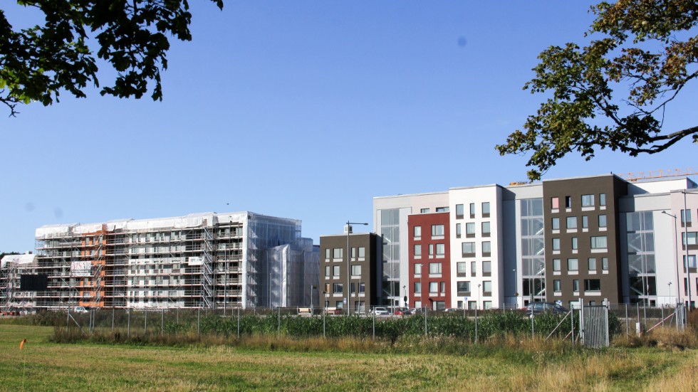 Nya bostäder samsas med åkermark på Ultunagärdet.