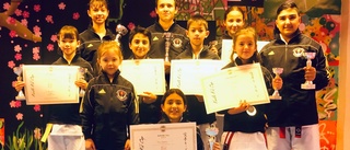 Katrineholms Karateförening tog nio medaljer