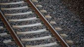Påkört rådjur orsakade tågförseningar