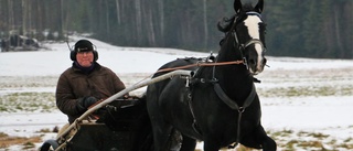 Han tror på seger för Björlifant igen