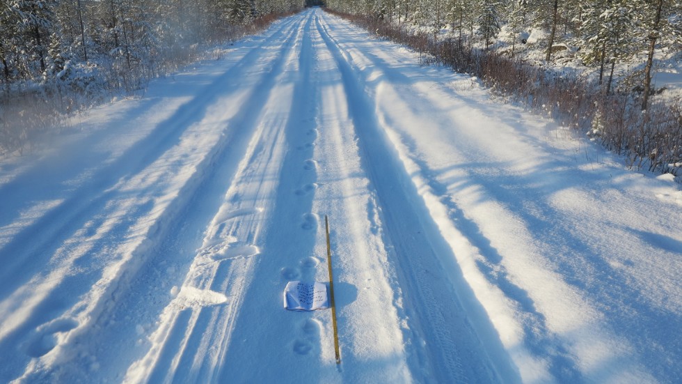 Efter spåren efter Lillbergsvägen har det varit tyst ett tag. Sedan upptäcktes först vargspår i Älvsbyn och sedan i Piteå. Nu har länsstyrelsen säkrat dna-spår från Piteåbesöket.