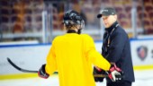 Luleå Hockeys nya tränare: Så blir hans roll bredvid "Bulan"