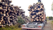 Insändare: Framtidens byggnadsvirke växer inte i de svenska skogarna