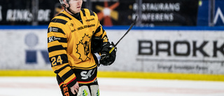 Wingerli skickas ner i AHL – trots stark försäsong • LISTA: Samtliga före detta AIK-spelare som inleder i AHL