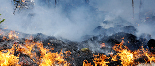 Eldade på tomten trots förbud – orsakade gräsbrand