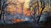 SMHI varnar för skogsbränder      