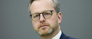 Riksdagen sänker Dambergs vapenförslag