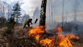 Så förhindrar vi nästa skogsbrand i Sörmland