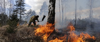 Så förhindrar vi nästa skogsbrand i Sörmland