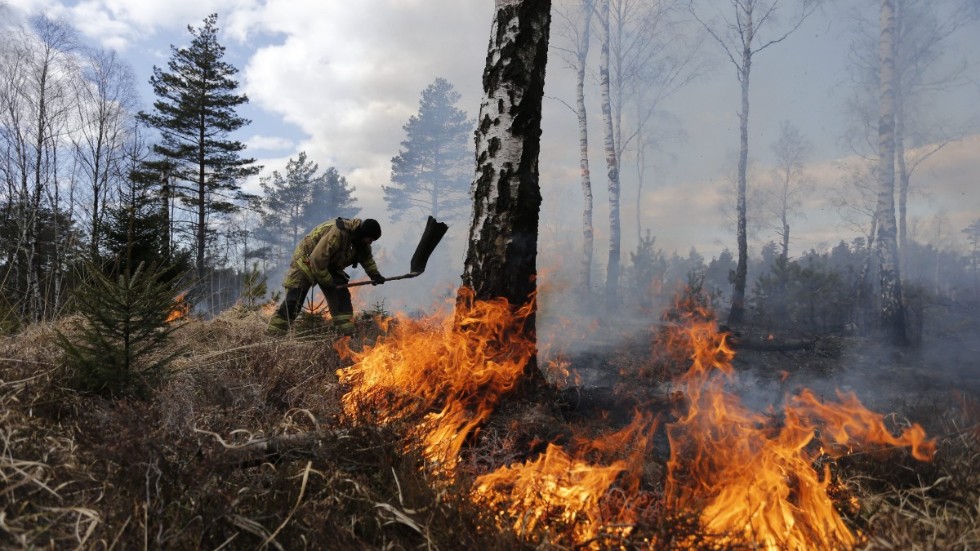 I sommar väntas nya värmerekord. Det innebär stora risker för omfattande skogsbränder i Kalmar län. Representanter för Skogssällskapet ger tips till markägare och privatpersoner för att minska brandrisken.