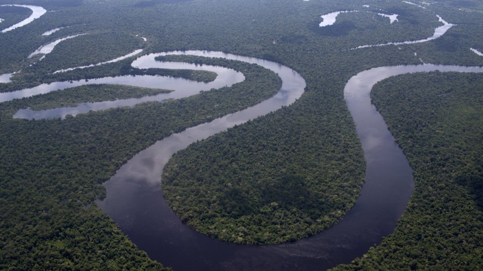 Skövlingen av regnskogen i brasilianska Amazonas ökar. Arkivbild.