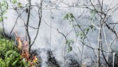 SMHI: Stor risk för gräs- och skogsbränder