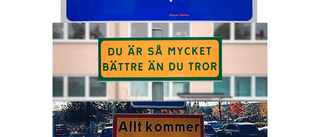 Omtalade konstverk på Nordanå stulna: ”Hoppas att det är ett busstreck”