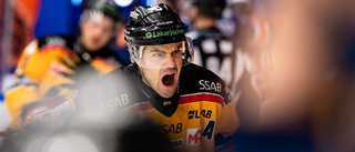 Luleå Hockey-veteranen vill ha dubbel revansch: ”Vill gå långt”