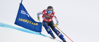 Alpint och skicross i gemensamt landslag