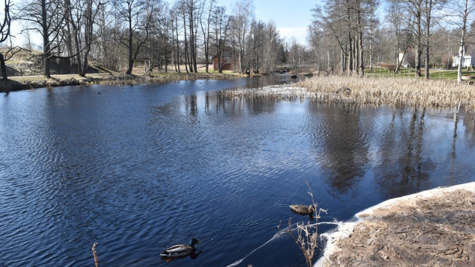 Nedre Dammen i Herrgårdsparken i Mariannelund har engagerat Mariannelundsborna i flera år. De vill ha både dammen och körbron kvar.