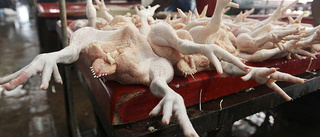 Insändare: Djurmarknader – stäng smitthärdarna i Asien