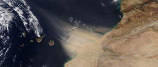 Skelleftebor om sandstormen över Gran Canaria: ”Det var en nästan apokalyptisk känsla”