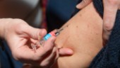 Årets influensa: Då startar vaccineringen i Västerbotten