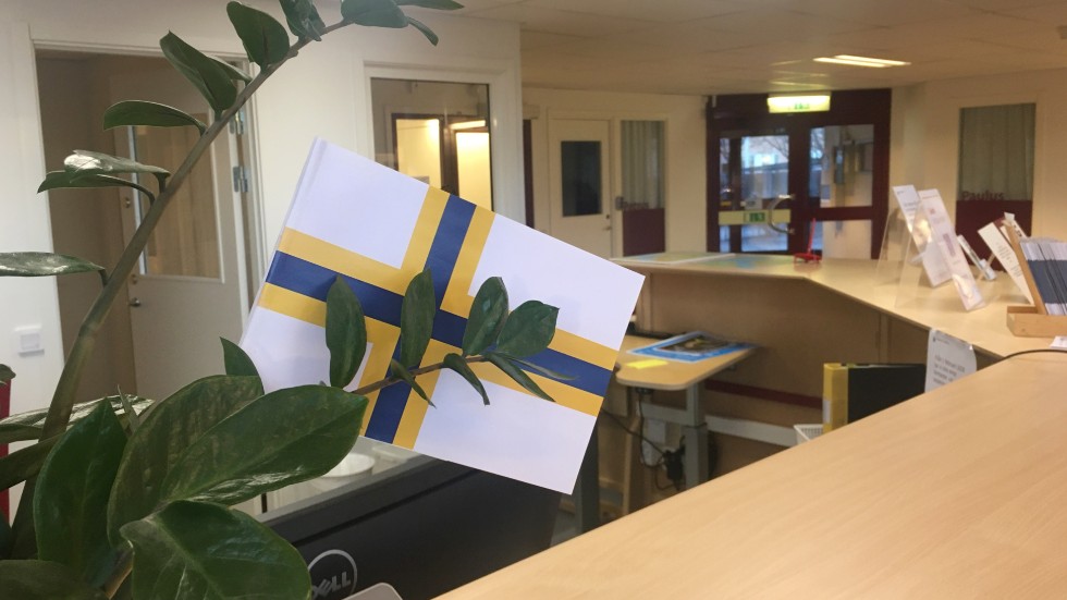 Sverigefinnarnas egen flagga har vit botten med ett blått och gult kors.