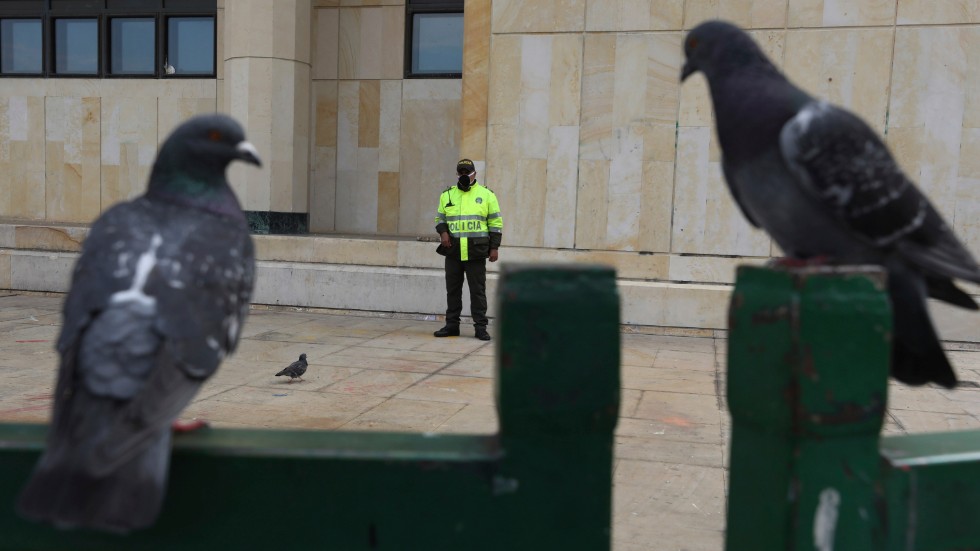 Två duvor håller koll på en polis utanför en myndighetsbyggnad i Colombias huvudstad Bogotá, där stadens människor uppmanas hålla sig hemma för att bromsa coronavirusutbrottet.