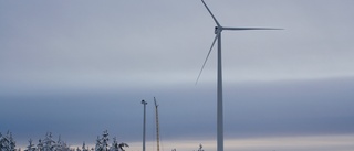 Visning av vindparken i Brännliden -Investering för över en halv miljard