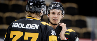 Live: Följ träningsmatchen mellan Luleå Hockey och Skellefteå AIK