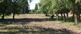 Kommunen sparar - då försvann labyrinten i parken