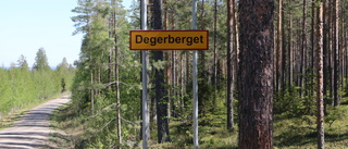 Beslut dröjer om avverkningsförbud på Degerberget: "Det är en mikroskopisk chans att regeringen ändrar beslutet"