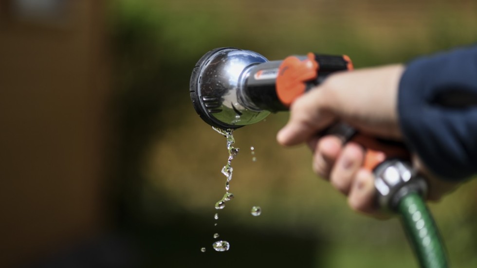 Flera kommuner har infört bevattningsförbud i april och maj.