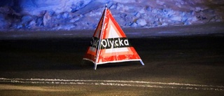  Mycket vilt på vägarna i Norrbotten • Lastbil i kollision med ren utanför Arjeplog