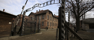 Museiledning i Auschwitz vädjar om bidrag