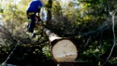 Rädda klimatet – sluta använda papper och trä