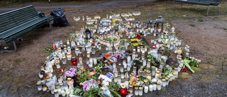 17-åringen döms för mord i Björklinge