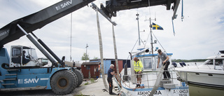 Gotländsk fiskebåt har blivit en turistmagnet i Trosa