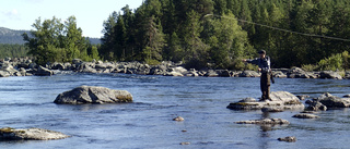 Chockhöjda fiskekort i Arjeplogsströmmarna