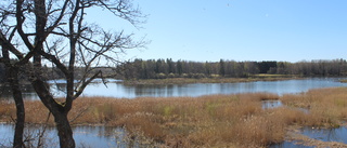 Regeringen har halverat anslagen till naturreservat