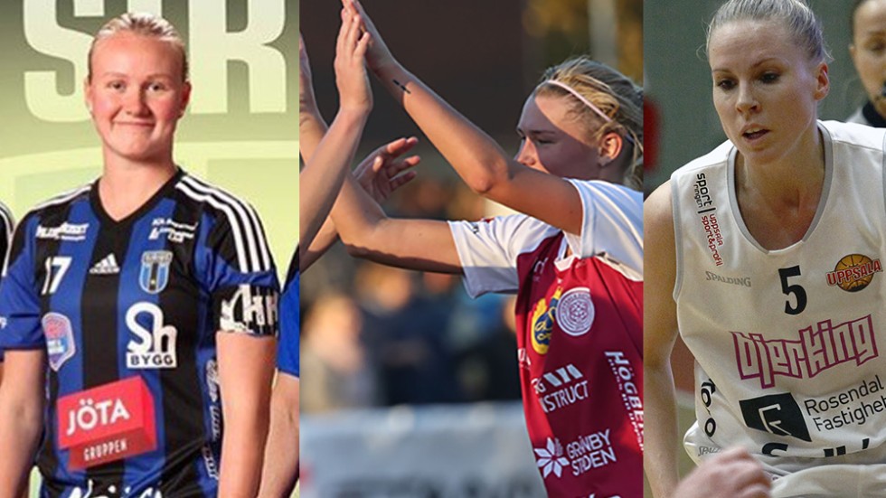 Sirius innebandy, Uppsala Fotboll och Uppsala Basket är tre av Uppsalas elitföreningar som samlas under gemensamt flagg i Elitidrott Uppsala. Nu ska samarbetsorganisationen vässas ytterligare.
