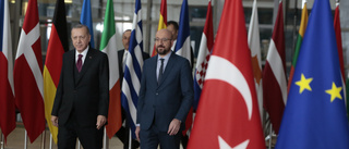 Erdogan och EU: Politiken och moralen