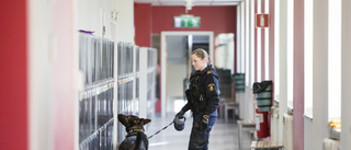 "Knarkhundar" sökte igenom högstadieskola 