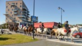 Nu har hästarna hittat ut till Gränsö igen
