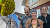Här är bananglassen som är unik i Sverige