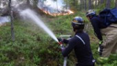 Brandmän bekämpade ny skogsbrand