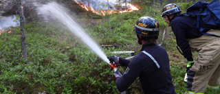 Brandmän bekämpade ny skogsbrand