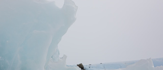 Oväntat hot mot Antarktis