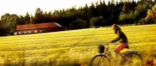 Flytta cyklisterna till körbanan 