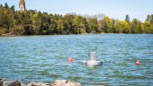 Gotlands vatten saknar skydd – går emot EU:s direktiv