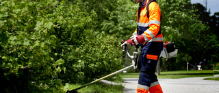 Så är läget kring jobben för ungdomarna